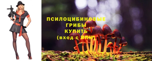крисы Навашино
