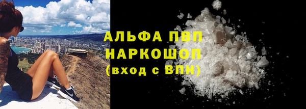 эйфоретик Каменка