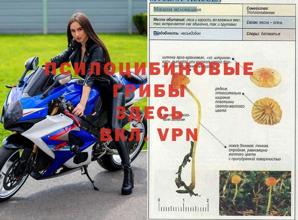 спиды Надым