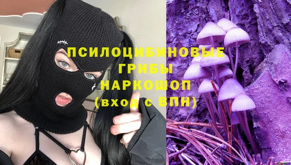 ГАЛЛЮЦИНОГЕННЫЕ ГРИБЫ Каменногорск