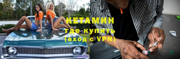 индика Киреевск