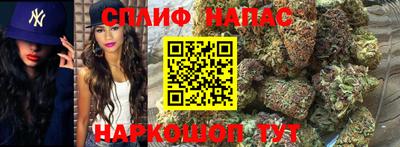 спиды Заволжье
