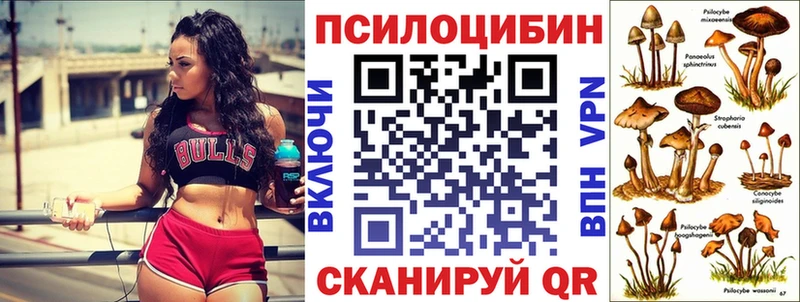 как найти закладки  Кропоткин  Галлюциногенные грибы Psilocybine cubensis 