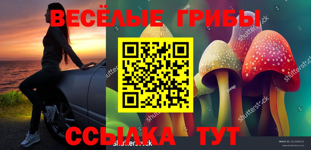 Кропоткин  Галлюциногенные грибы GOLDEN TEACHER  Вход с VPN 